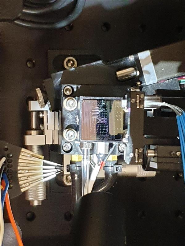 Bridging the Fab to Lab Measurement Bottleneck with Maple Leaf Photonics Automated Testing